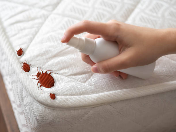 Best Organic or Eco-Friendly Pest Control  in Perkasie, PA